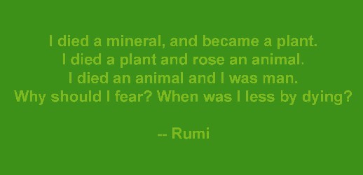 Less - Rumi