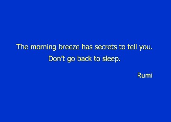 Morning Breeze - Rumi